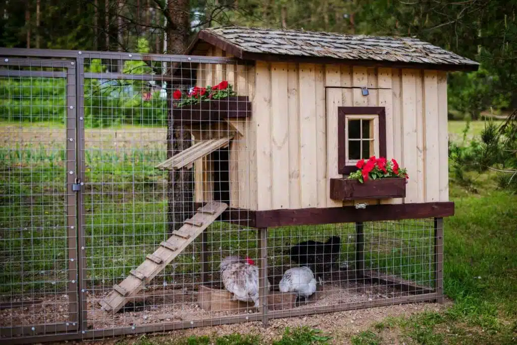 hühnerstall bauen